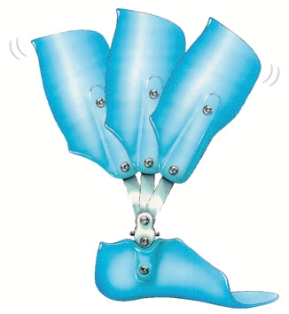 Kid-Dee-Lite Ankle Joint